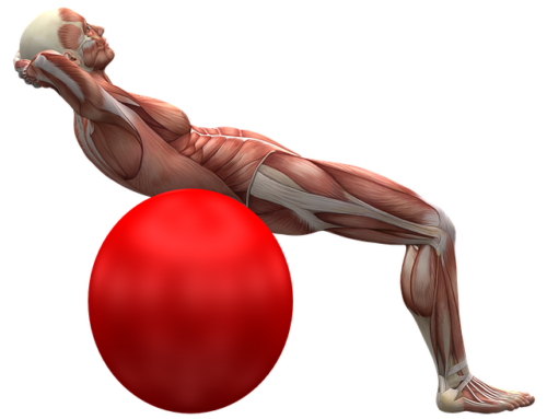 Du hast starke Bauchmuskeln